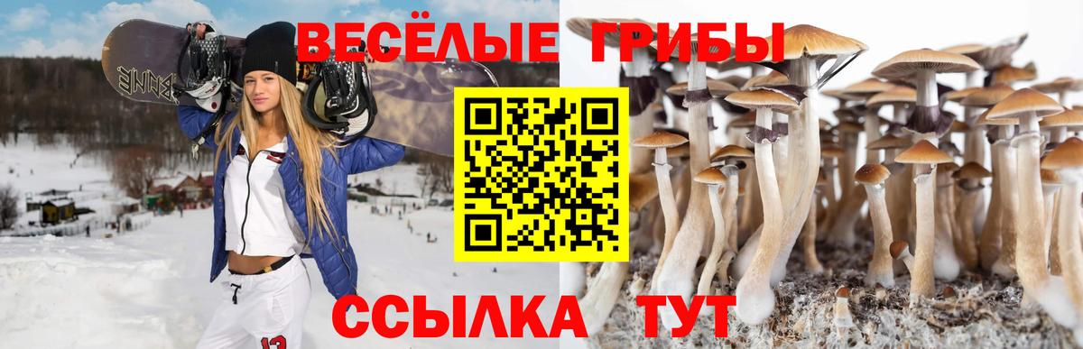 Псилоцибиновые грибы Psilocybine cubensis  Вход с VPN  Долгопрудный 